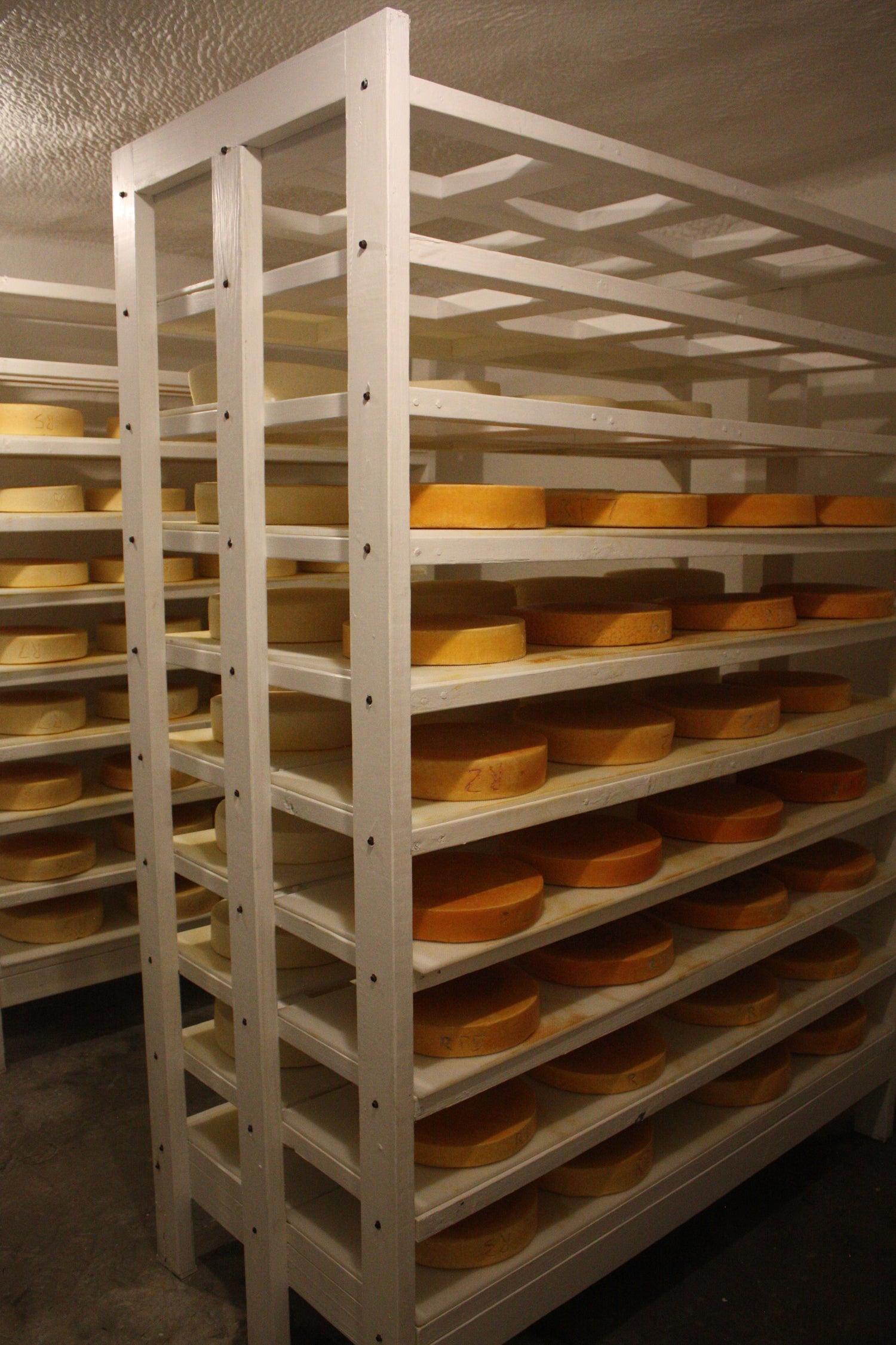 Artisan cheese wheels aging