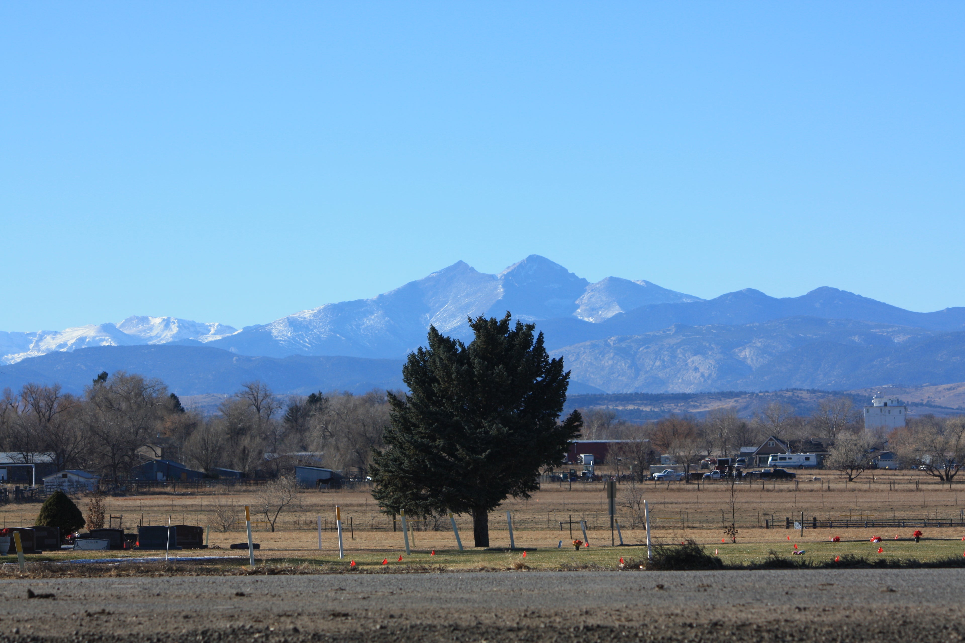 Colorado farm landscape with cattle